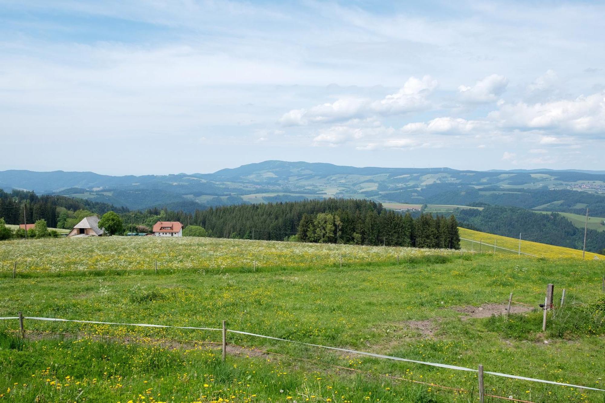 Baeuerleshuette Breitnau Exterior foto